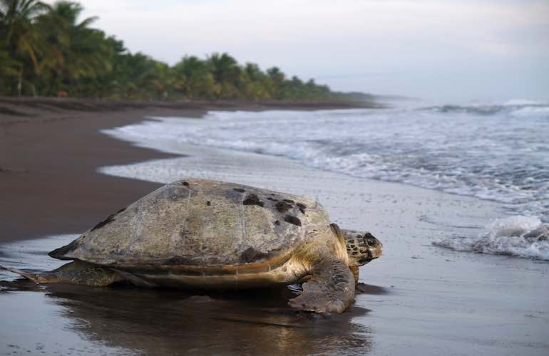 voyage-groupe-costa-rica-4.jpg