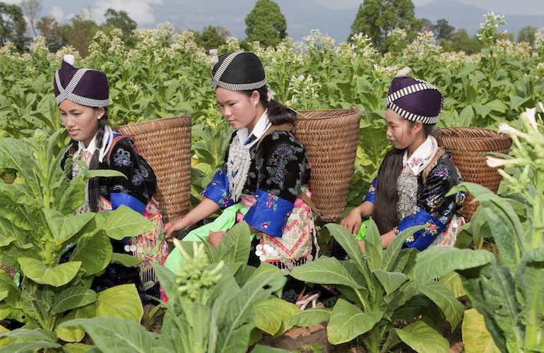 voyage-groupe-laos-8.jpeg