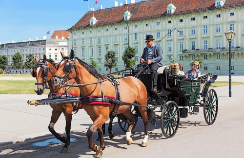 Voyage en groupe à Vienne ou Copenhague !