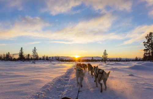 Partez en voyage en groupe au Canada en hiver !