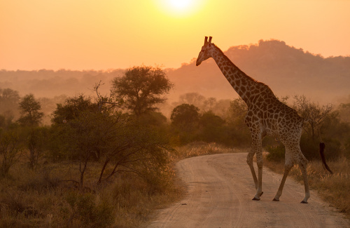 Voyage en groupe en Afrique du Sud en 2023 !