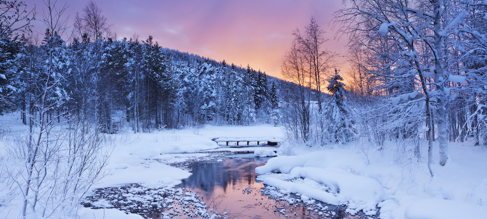 La magie de l'hiver en voyage en groupe