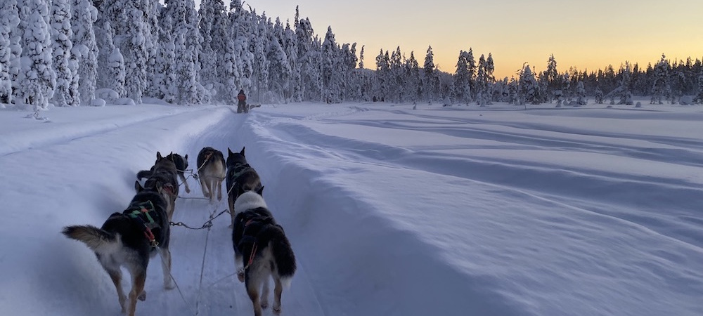 Voyage en groupe multi-activités  Canada ou Laponie