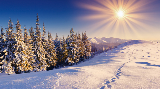 Séjour Multi-activités Hiver Canada