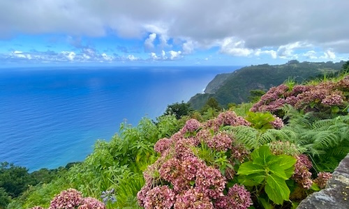 Le Carnaval de Madère